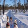 Lapland'da Kuzey Işıkları Eşliğinde Kayak Yapmak İster misiniz - Görsel 13